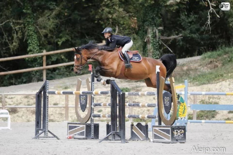 DIABELLA BLUE PS (DEU) poulinière à vendre chevaux de sport en Vendée